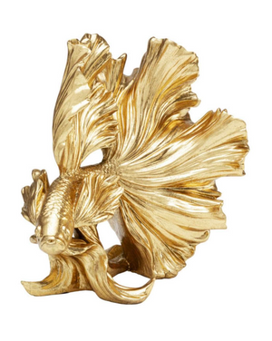 Gold Fish
