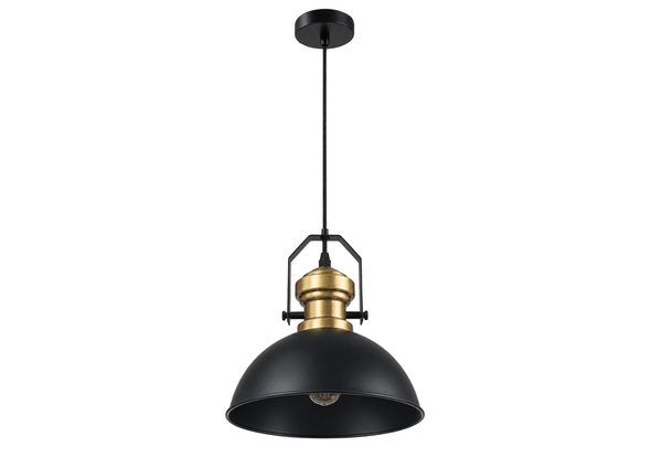 Black & Brass Pendant Light