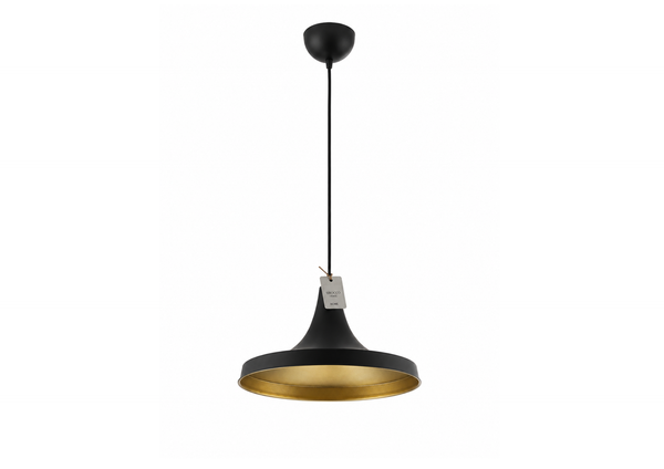 Modern Black and Brass Pendant Lamp