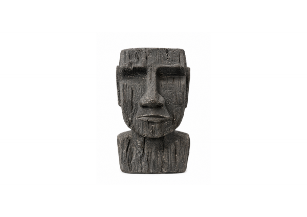 Rugged Abstract Stone Head Sculpture- Vase
