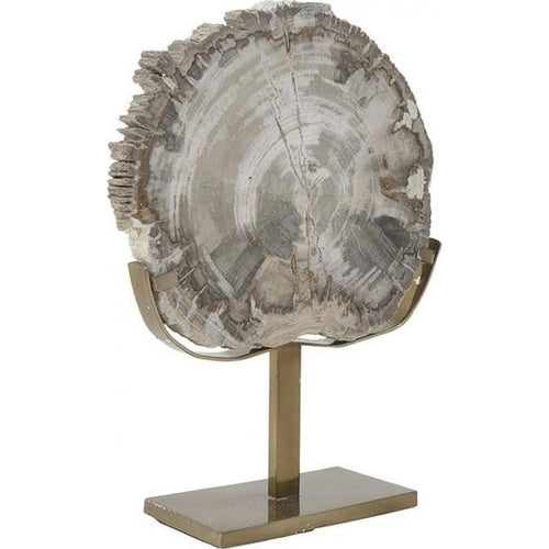 Decorative Table Ornament with Petrified Wood on Metal Base – Inart